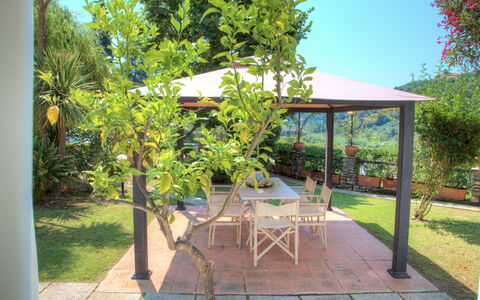 Casa Del Sole - San Bartolomeo Al Mare: Property, Real Estate, Tree, Backyard, House, Yard, Patio, Building, Garden, Plant