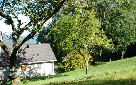 La Cassìna: Tree, House, Property, Cottage, Home, Woody Plant, Farmhouse, Rural Area, Land Lot, Grass