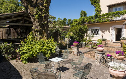 Rocca di Papa 102: Shrub, Furniture, Flowerpot, Garden, Outdoor Furniture, Spring, Chair, Outdoor Table, Shade