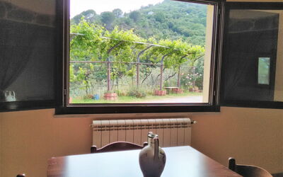 Deluxe: Room, Property, Interior Design, Window, Home, Tree, House, Architecture, Table, Glass