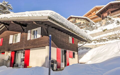 Chalet Butz: Building, Sky, Window, Snow, House, Slope, World, Freezing, Facade, Wood