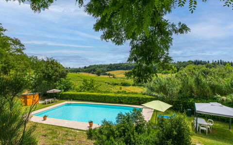 Castellina in Chianti 975: Water, Plant, Cloud, Sky, Swimming Pool, Azure, Shade, Natural Landscape, Tree, Rectangle