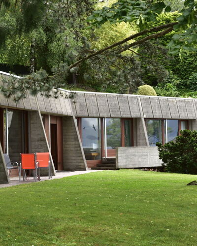 Duck House