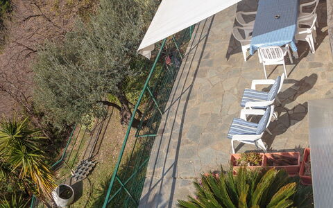 Villa Pia Con Piscina a Recco: Vegetation, Wall, Architecture, Botany, Tree, House, Plant, Roof, Geological Phenomenon, Vacation