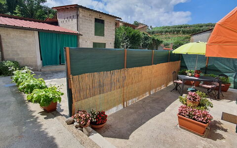 La Piccola Margherita: Property, House, Wall, Real Estate, Home, Backyard, Building, Land Lot, Landscape, Yard