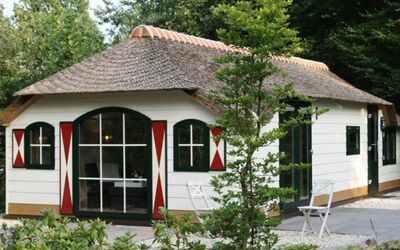 Ermelo 210: Plant, Window, Building, Property, Tree, House, Wood, Residential Area, Siding