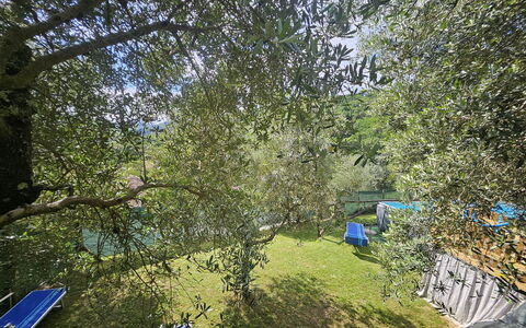 Alla Piazzetta Proprietà: Blue, Garden, Shade, Backyard