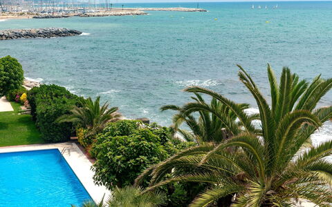 Acuario: Vegetation, Palm Tree, Azure, Property, Tree, Sea, Turquoise, Tropics, Arecales, Ocean