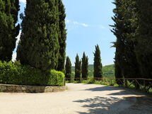 Gaiole In Chianti 980
