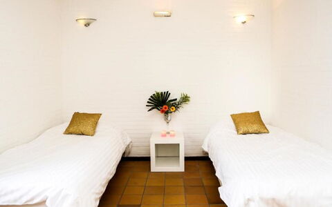 Bungalowpark Landsrade: Plant, Property, Furniture, Comfort, Decoration, Textile, Wood, Interior Design, Flower, Flooring