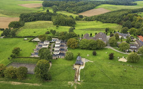 Bungalowpark Landsrade: Tree, Grass, Landscape, House, Residential Area, Plain, Grassland, Home, Rural Area, Land Lot