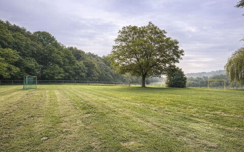 Bungalowpark Landsrade: Grass, Tree, Natural Environment, Grassland, Plain, Land Lot, Meadow, Field, Lawn