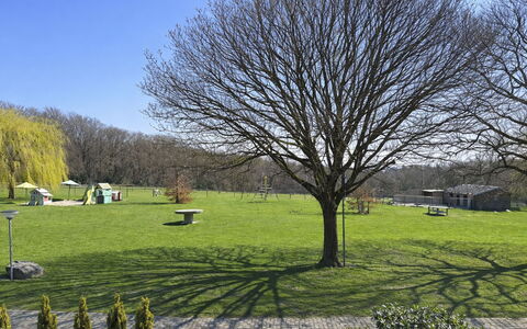Bungalowpark Landsrade: Grass, Tree, Leaf, Branch, Grassland, Plain, Lawn, Trunk, Garden