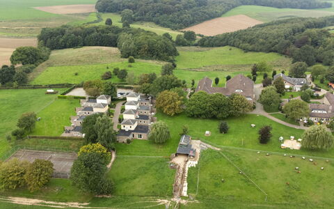 Bungalowpark Landsrade: Plant, Property, Ecoregion, Natural Environment, Tree, Natural Landscape, Land Lot, Vegetation, Grass, Grassland