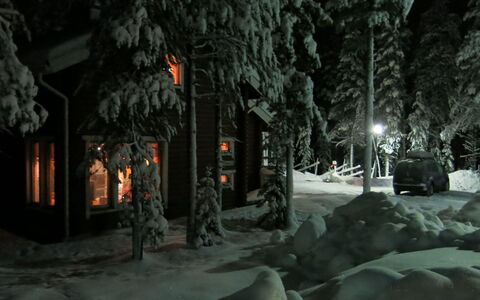 Kevätruska B: Wood, Cottage, Log Cabin, Forest, Shed, Garden Buildings, Larch, Woodland, Wood Stain