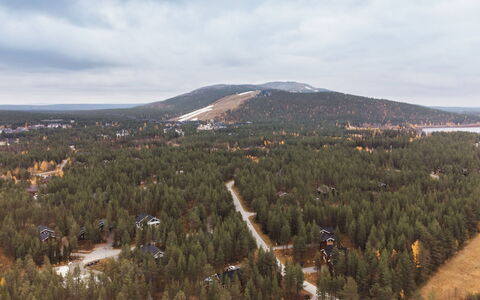 Kevätruska B: Wood, Cottage, Log Cabin, Forest, Shed, Garden Buildings, Larch, Woodland, Wood Stain