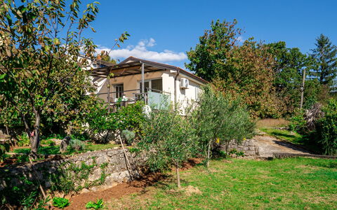 Silvana: Shrub, Rural Area, Home, Cottage, Garden, Spring, Backyard, Shade, Yard, Estate