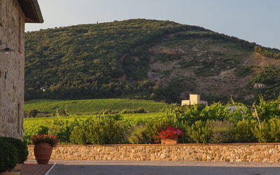 View to our wine cellar