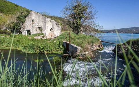 Klen 1: Body Of Water, Water, Natural Landscape, Nature, Vegetation, Grass, Bank, Water Resources, Coast, Sea