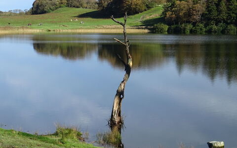 Lake District Coastal Cottage: Body Of Water, Water Resources, Natural Landscape, Water, Lake, Pond, Reservoir, Reflection, Bank, Loch