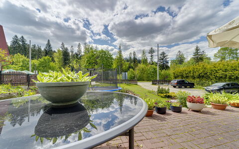 Wisła: Shrub, Garden, Landscaping, Larch, Evergreen, Yard, Outdoor Furniture, Botanical Garden, Park