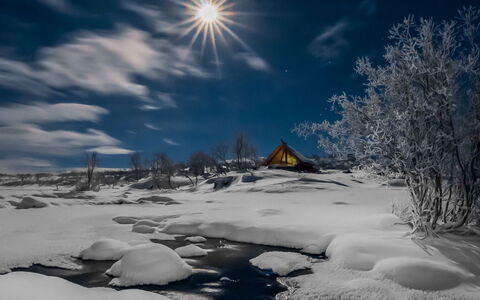 Haltinsaana: Wood, Cottage, Log Cabin, Forest, Shed, Garden Buildings, Larch, Woodland, Wood Stain