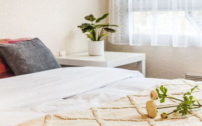 Accommodation:&nbsp;Les Alizés 109.4