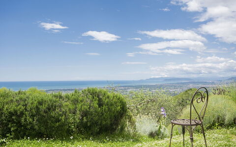 Casaccia: Natural Landscape, Nature, Green, Grassland, Sky, Vegetation, Grass, Meadow, Natural Environment, Pasture