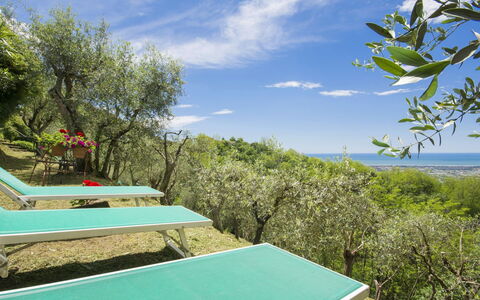 Casaccia: Property, Swimming Pool, Vegetation, Natural Landscape, Sky, Resort, Vacation, House, Real Estate, Tree