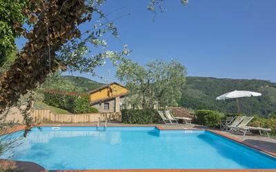 Pescia 825 - Pescia, Tuscany, Italy - Viola 825.1