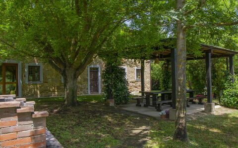 Casa dei Ciliegi: Plant, Window, Leaf, Tree, Land Lot, Shade, Grass, Woody Plant, Door, Natural Landscape