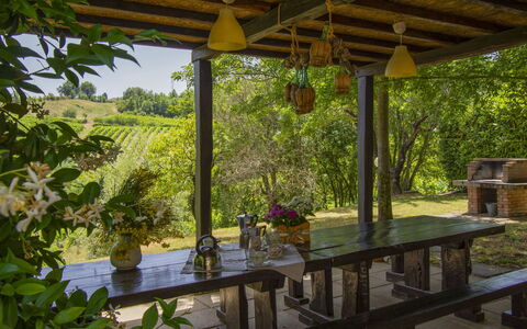 Casa dei Ciliegi: Plant, Building, Shade, Table, Botany, Porch, Outdoor Furniture, Interior Design, Tree, Wood