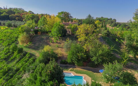 Casa dei Ciliegi: Sky, Plant, Plant Community, Green, Natural Landscape, Tree, Land Lot, Body Of Water, Shrub, Grass