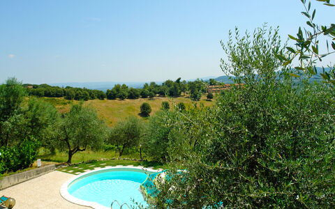 Gambassi Terme 840: Natural Landscape, Swimming Pool, Vegetation, Property, Nature Reserve, Real Estate, Tree, Grass, Botany, House