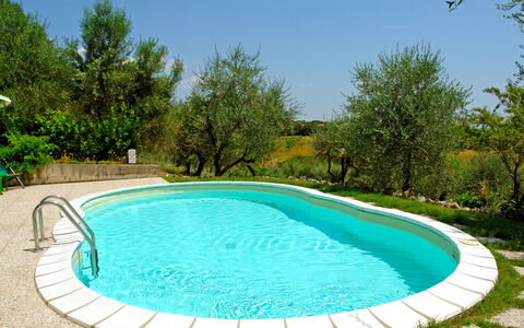 Gambassi Terme 840: Swimming Pool, Property, Leisure, Real Estate, Backyard, Grass, Tree, House, Rectangle, Estate