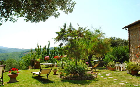Gambassi Terme 840: Garden, Vegetation, Natural Landscape, Grass, Yard, Property, Tree, Land Lot, Botany, Backyard