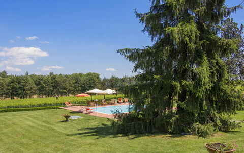 Camporbiano: Plant, Sky, Cloud, Natural Landscape, Tree, Land Lot, Shade, Outdoor Furniture, Grass, Leisure