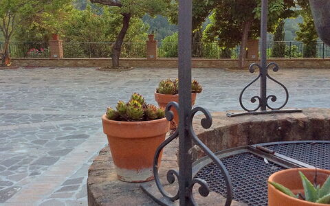 Le Pergole: Iron, Yard, Real Estate, Brick, Landscape, Architecture, Backyard, Home, Automotive Tire