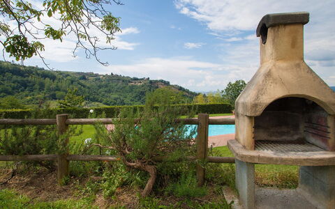 Podere Valle di Sotto: Natural Landscape, Grass, Sky, Rural Area, Tree, Landscape, Land Lot, House, Field, Plant