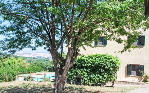 Podere Valle di Sotto: Tree, Leaf, Branch, Spring, Shade