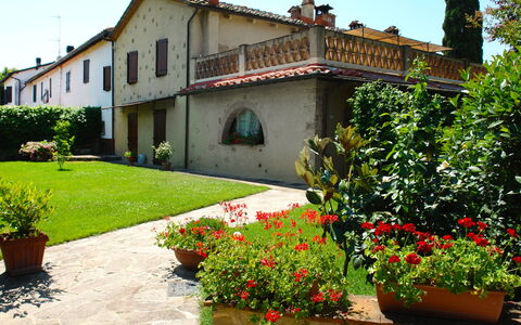 Castellina in Chianti 865: Property, House, Building, Hacienda, Real Estate, Home, Villa, Courtyard, Garden, Plant