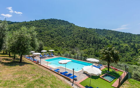 Reggello 840: Sky, Plant, Cloud, Swimming Pool, Tree, Water, Natural Landscape, Body Of Water, Mountain, Leisure