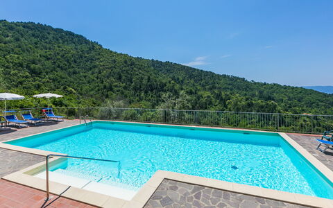 Reggello 840: Water, Sky, Property, Swimming Pool, Azure, Rectangle, Plant, Building, Tree, Composite Material