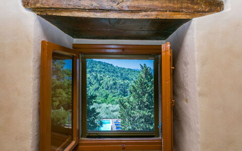 Reggello 840: Building, Window, Wood, Rectangle, Water, House, Shade, Wood Stain, Interior Design, Plant