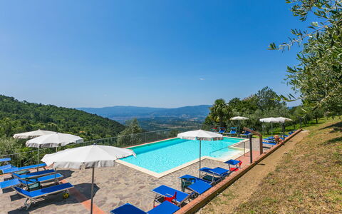 Reggello 840: Water, Sky, Swimming Pool, Tree, Outdoor Furniture, Shade, Body Of Water, Sunlounger, Leisure, Plant
