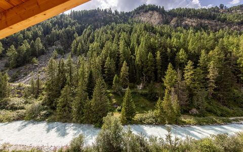 Zinal 9000: Tree, Mountainous Landforms, Mountain, Forest, Wilderness, Highland, Hill, Larch, Hill Station