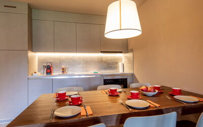 Accommodation:&nbsp;Swisspeak Resorts Zinal 9000.101
