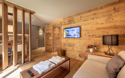 Accommodation:&nbsp;Swisspeak Resorts Zinal 9000.98