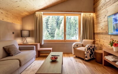 Accommodation:&nbsp;Swisspeak Resorts Zinal 9000.103