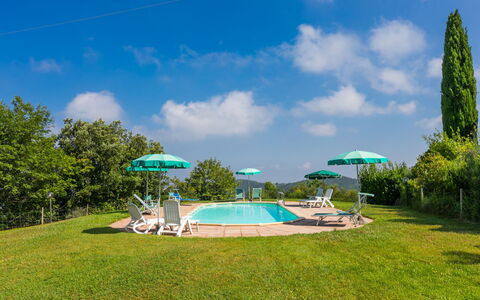 Poggio al Colle: Cloud, Water, Sky, Property, Plant, Tree, Natural Landscape, Land Lot, Swimming Pool, Body Of Water
